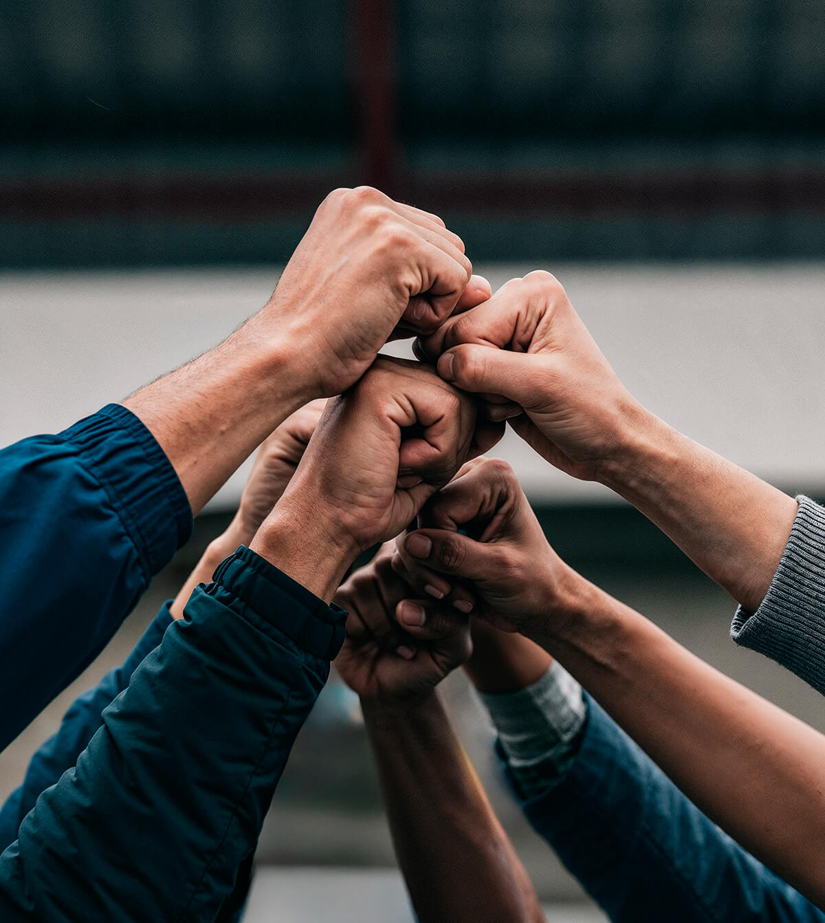 LLDPE Rotomoulding Powder Exporter